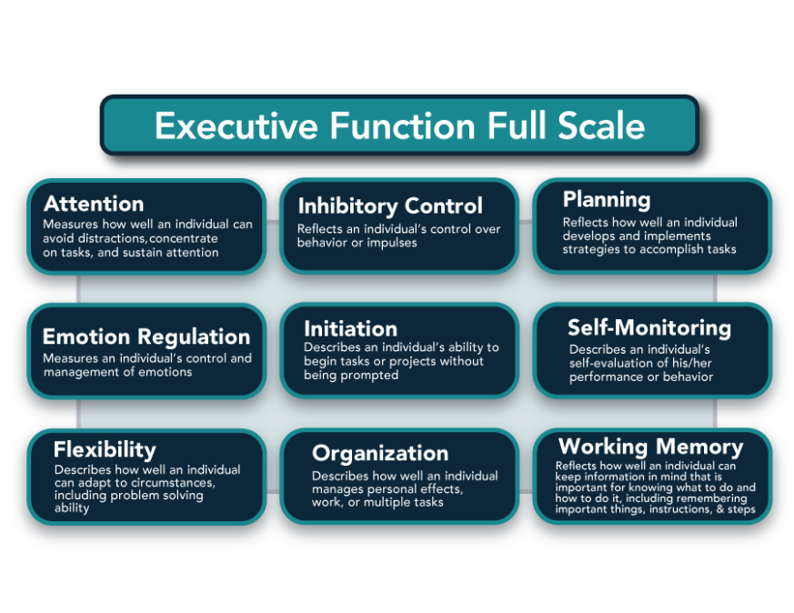 Executive Function Full ScaleAttention - Measures how well an individual can avoid distractions, concentrate on tasks, and sustain attention Inhibitory Control - Reflects an individual's control over behavior or impulses Planning - Reflects how well an individual develops and implements strategies to accomplish tasks Emotion Regulation - Measures an individual's control and management of emotions Initiation - Describes an individual's ability to begin tasks or projects without being prompted Self-Monitoring - Describes an individual's self-evaluation of his/her performance or behavior Flexibility - Describes how well an individual can adapt to circumstances including problem solving ability Organization - Describes how well an individual manages personal effects, work, or multiple tasks Working Memory - Reflects how well an individual can keep information in mind that is important for knowing what to do and how to do it, including remembering important things, instructions, & steps 